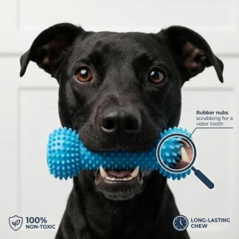 لعبة تنظيف أسنان الكلاب مع كوب - مراجعة Rubber Treat Dispensing Dog Toy وسعره