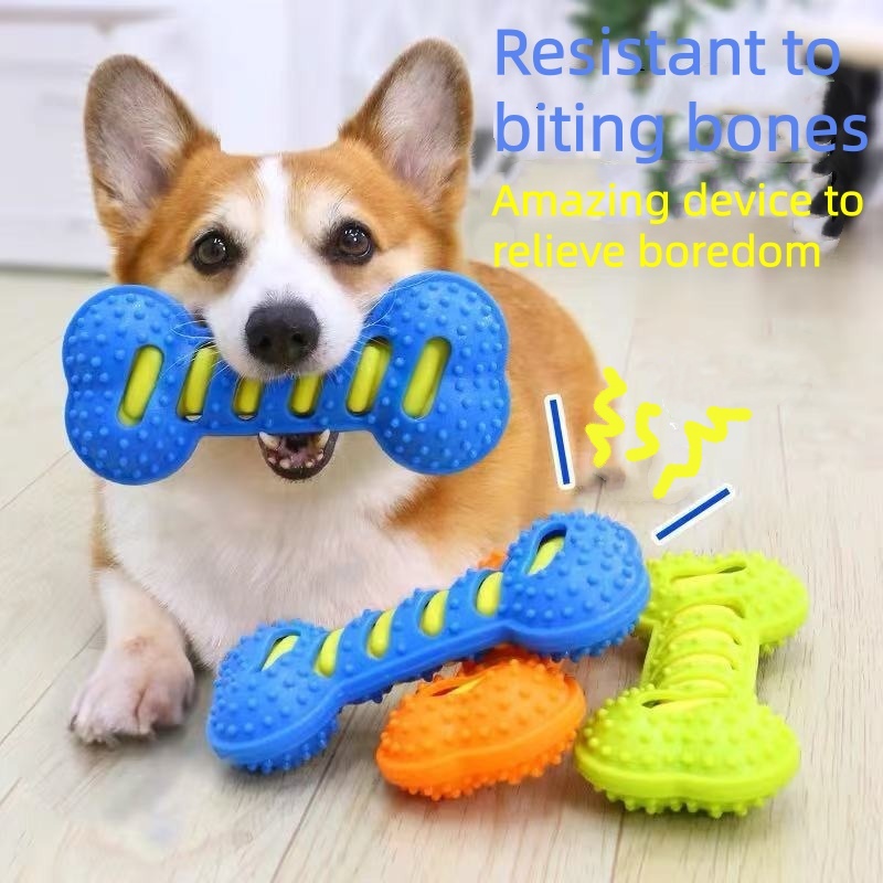 لعبة مطاطية متينة للكلاب على ش - مراجعة Teeth Cleaning Dog Chew Bone وسعره