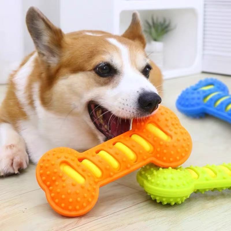 لعبة مطاطية متينة للكلاب على ش - مراجعة Teeth Cleaning Dog Chew Bone وسعره