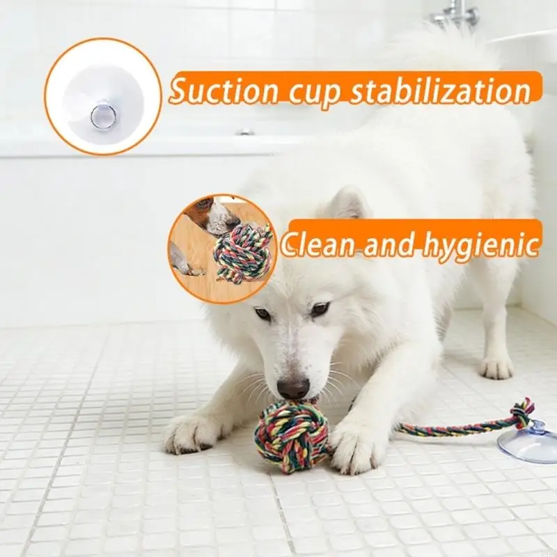 لعبة مضغ ممتعة وآمنة للكلاب مع - مراجعة Suction Cup Dog Tug Toy وسعره