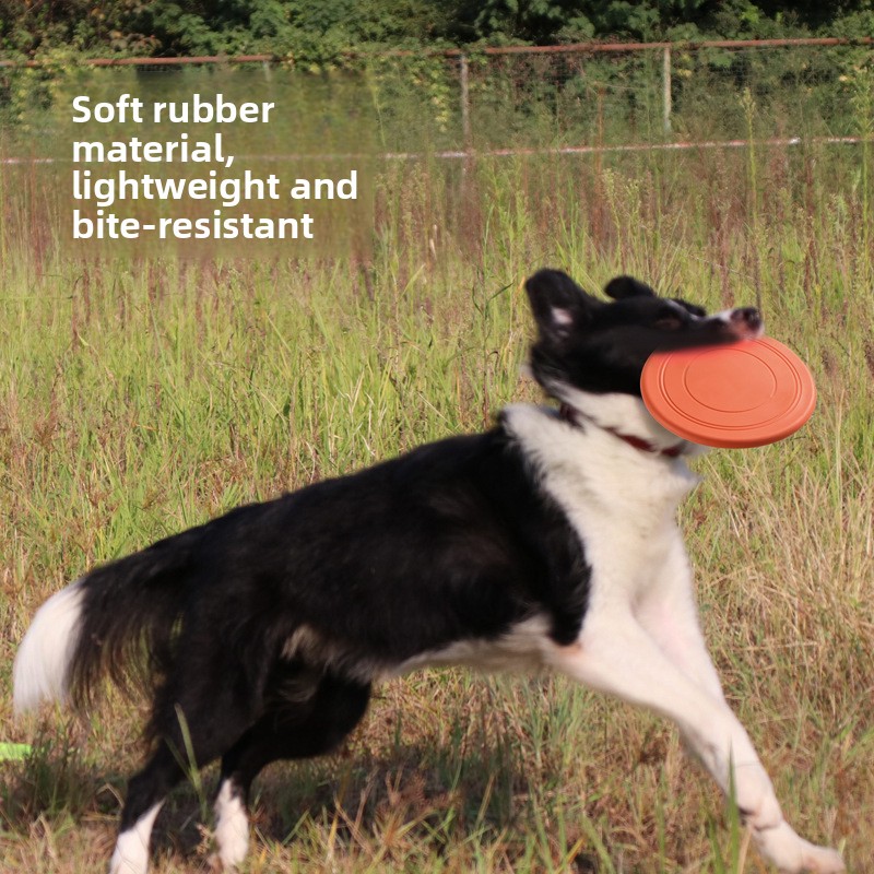 قرص طائر للحيوانات الأليفة مقا - مراجعة Flying Disc Dog Training Toy وسعره