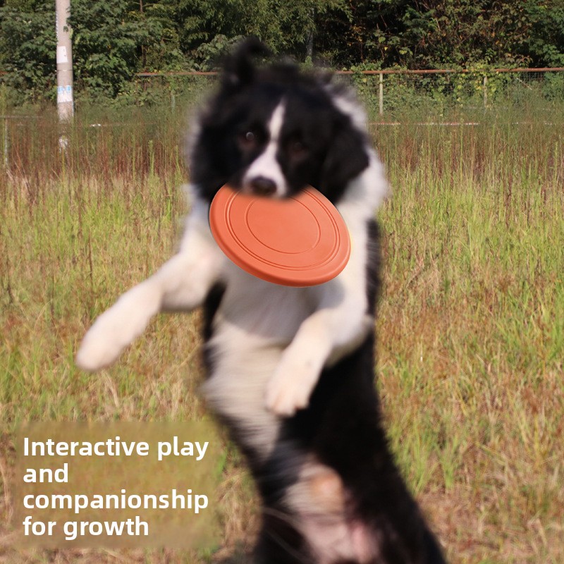 قرص طائر للحيوانات الأليفة مقا - مراجعة Flying Disc Dog Training Toy وسعره