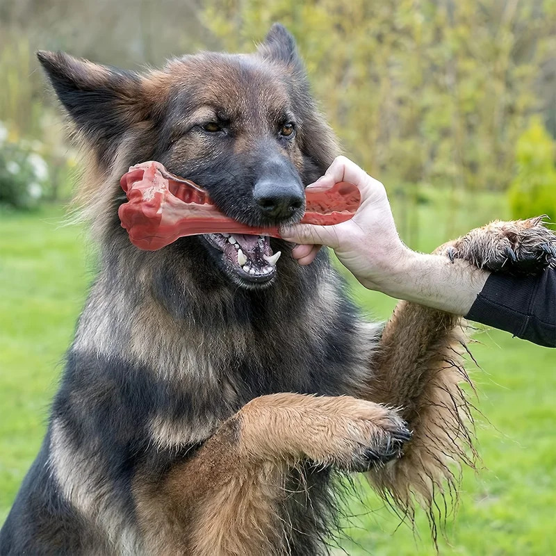 لعبة مضغ للكلاب فائقة المتانة  - مراجعة Indestructible Dog Chew Toy وسعره