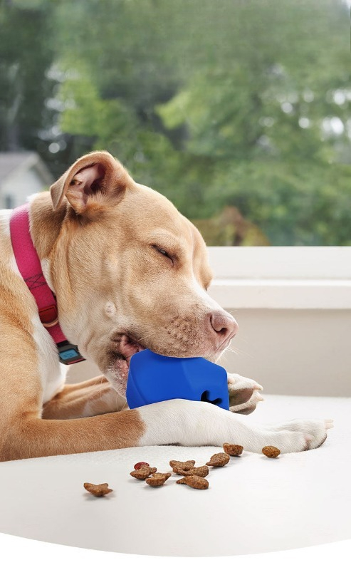 لعبة موزع طعام للكلاب من المطا - مراجعة Rubber Treat Dispensing Dog Toy وسعره
