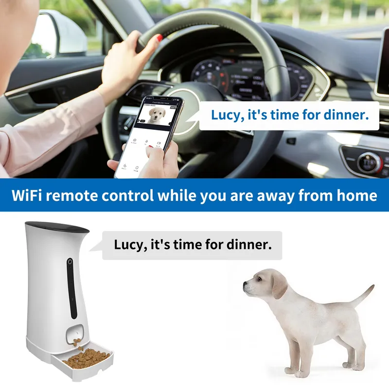 كاميرا لتغذية الحيوانات الأليف - مراجعة Pet Feeders وسعره