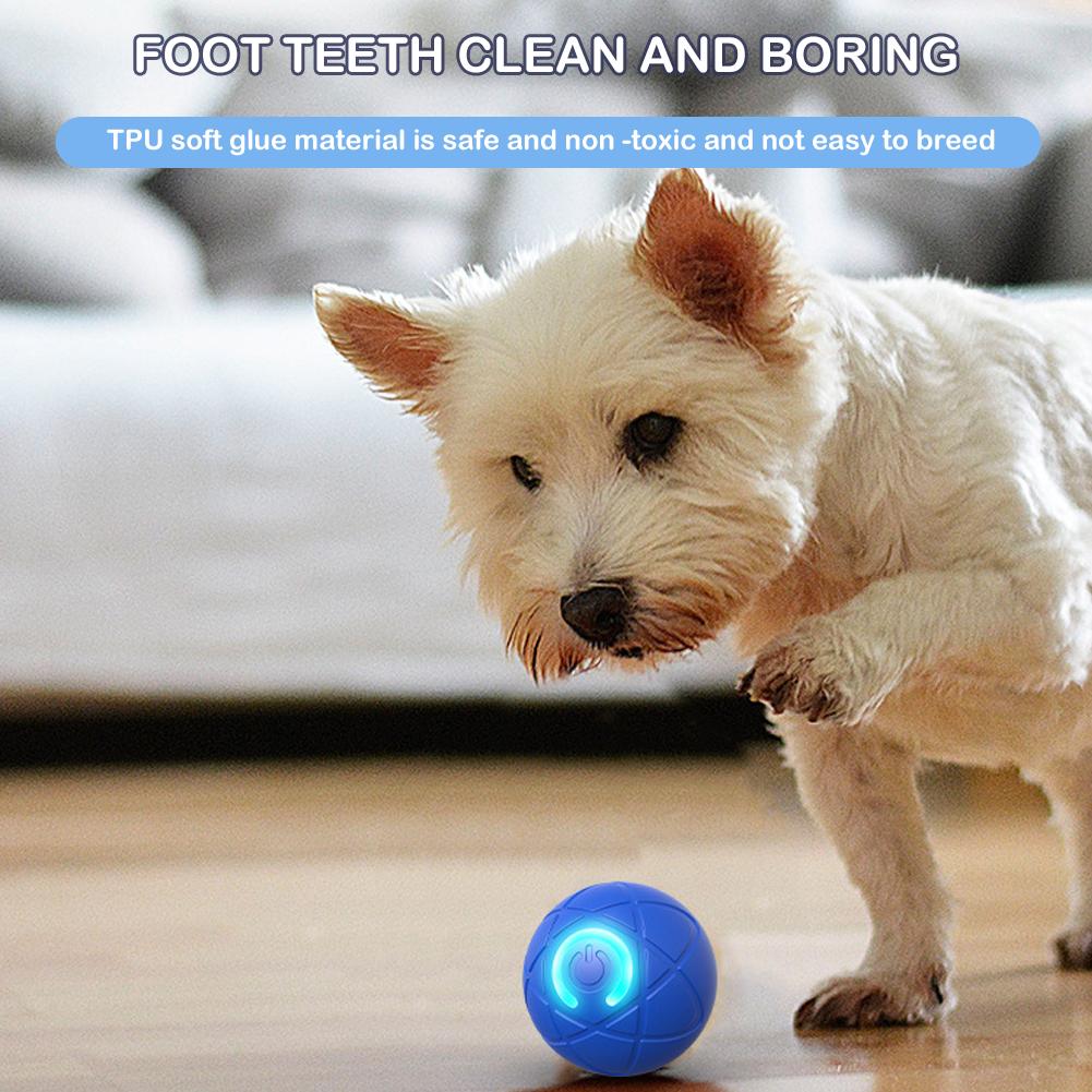 لعبة الحيوانات الأليفة التفاعل - مراجعة Automatic Moving Dog Ball وسعره