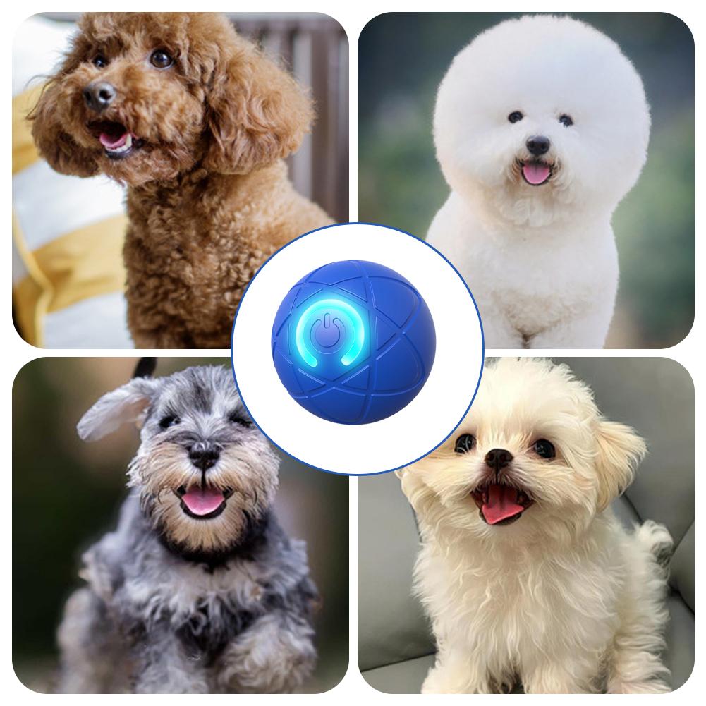 لعبة الحيوانات الأليفة التفاعل - مراجعة Automatic Moving Dog Ball وسعره