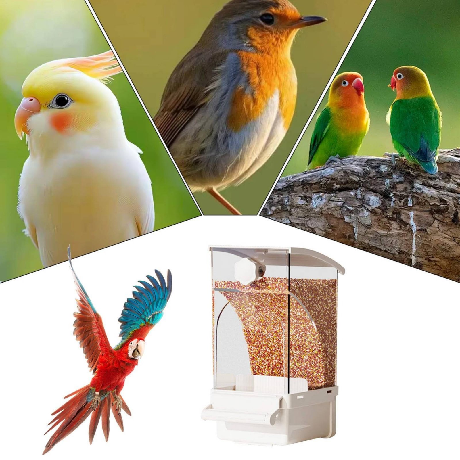 موزع طعام أوتوماتيكي للطيور مع - مراجعة Pet Feeders وسعره