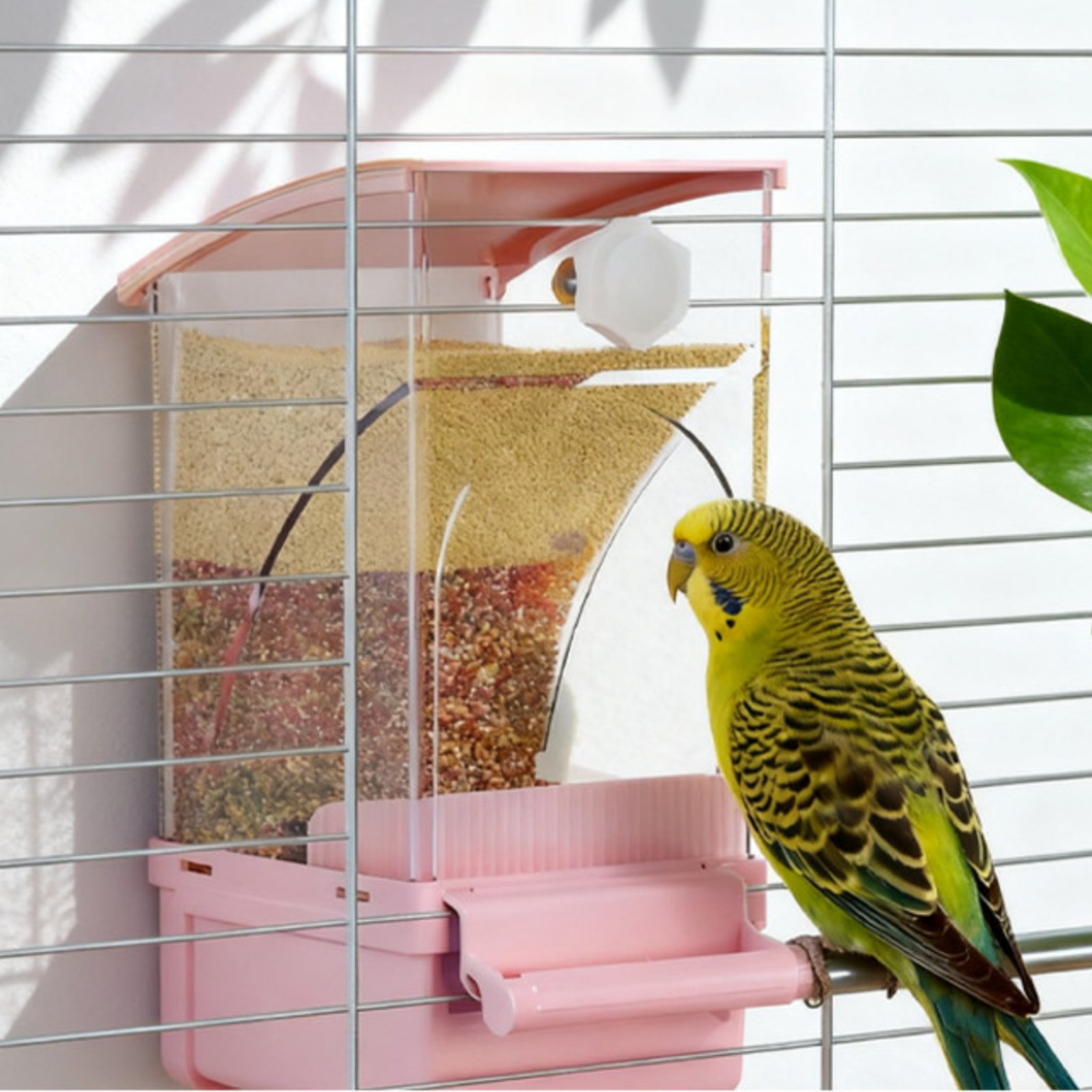 موزع طعام أوتوماتيكي للطيور مع - مراجعة Pet Feeders وسعره