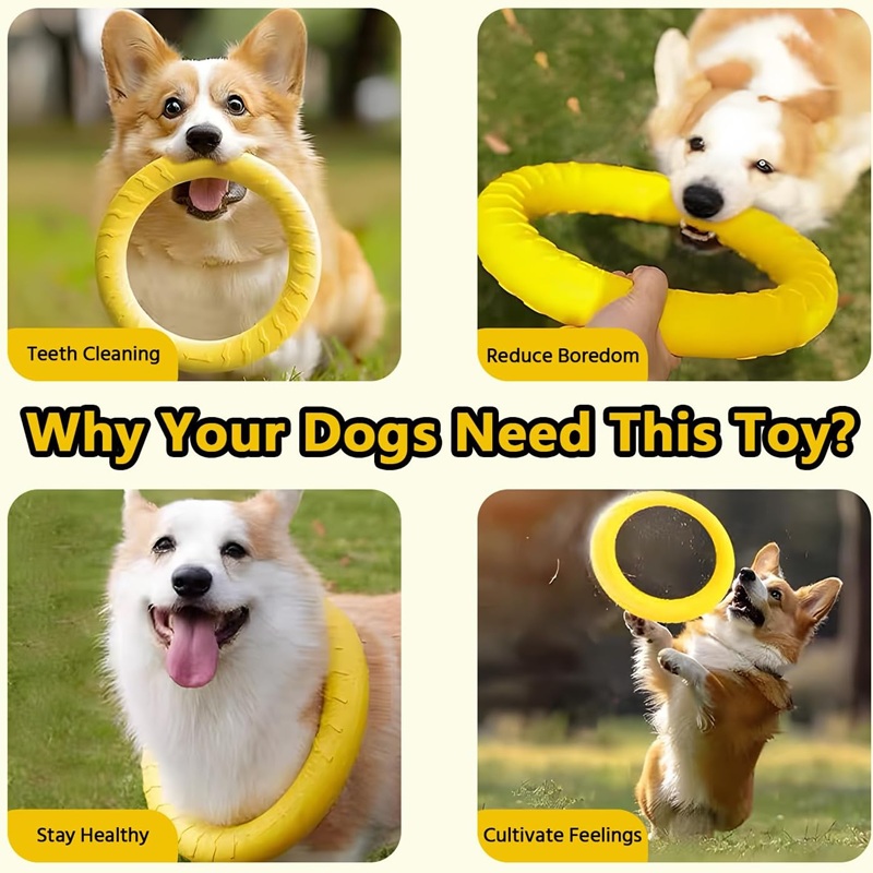 ألعاب الكلاب، أقراص طائرة للحي - مراجعة Suction Cup Dog Tug Toy وسعره
