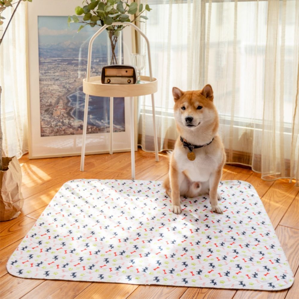 سجادة سوبر ماصة للحيوانات الأل - مراجعة Pet Beds وسعره