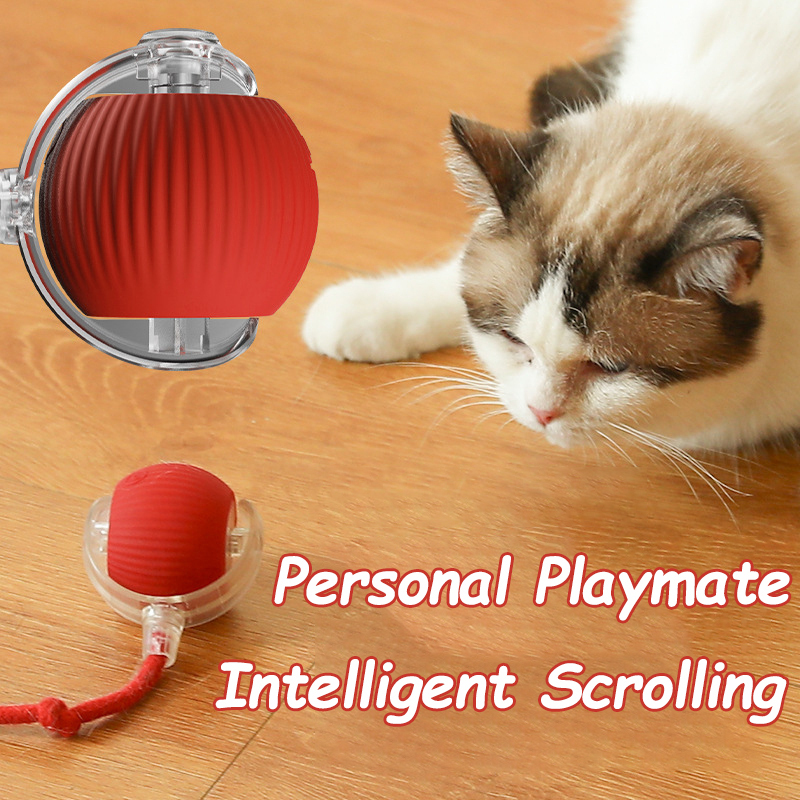 جديد القط لعبة الكرة التفاعلية - مراجعة Automatic Moving Dog Ball وسعره