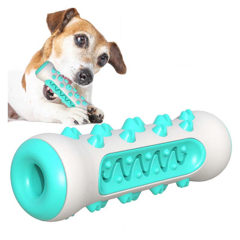 عصا مضغ للكلاب من مادة TPR متي - مراجعة Teeth Cleaning Dog Chew Bone وسعره