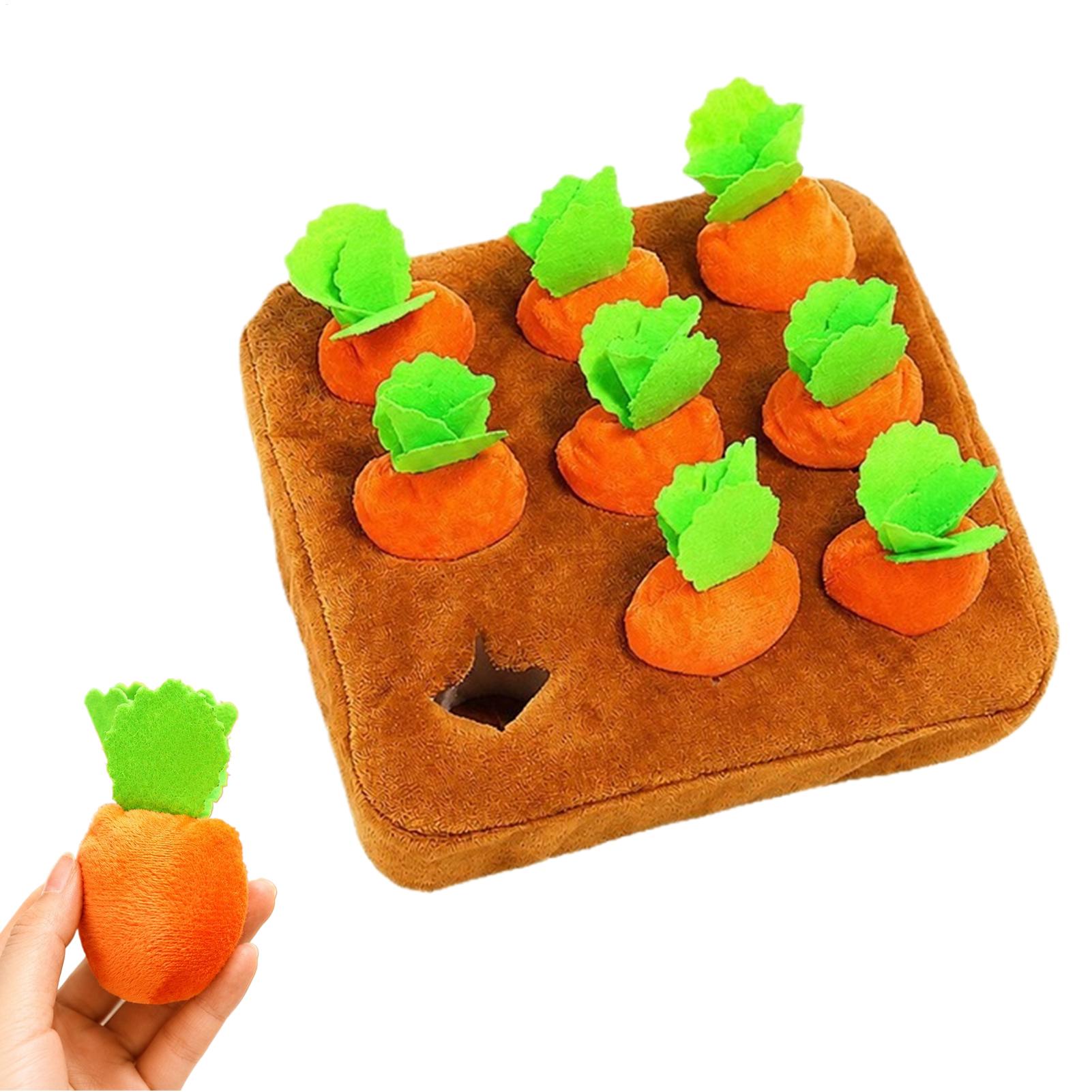 بساط تدريب الكلاب على شكل جزرة - مراجعة Snuffle Mat For Dogs وسعره