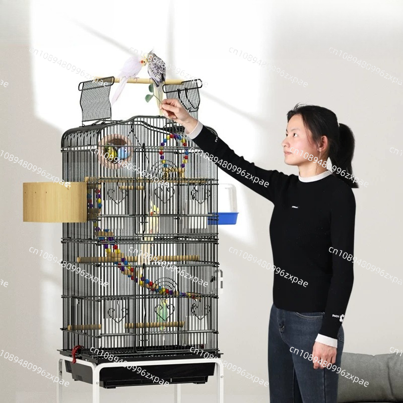 كوخ المغذية عش قفص الطيور البب - مراجعة Pet Feeders وسعره