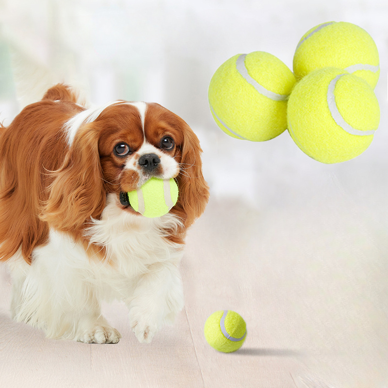 لعبة تنس تفاعلية مخططة من المط - مراجعة Interactive Squeaky Plush Dog Toy وسعره