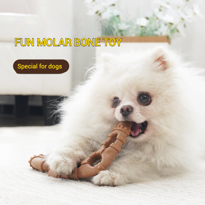 تقليد العظام المولي لعبة الكلب - مراجعة Teeth Cleaning Dog Chew Bone وسعره
