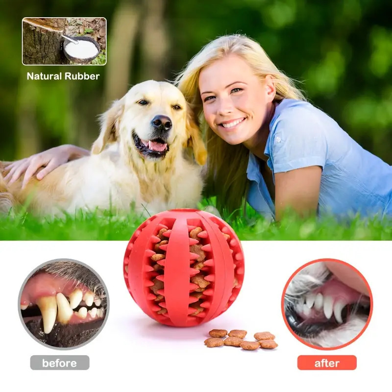 كرة تفاعلية للكلاب، لعبة مطاطي - مراجعة Rubber Treat Dispensing Dog Toy وسعره