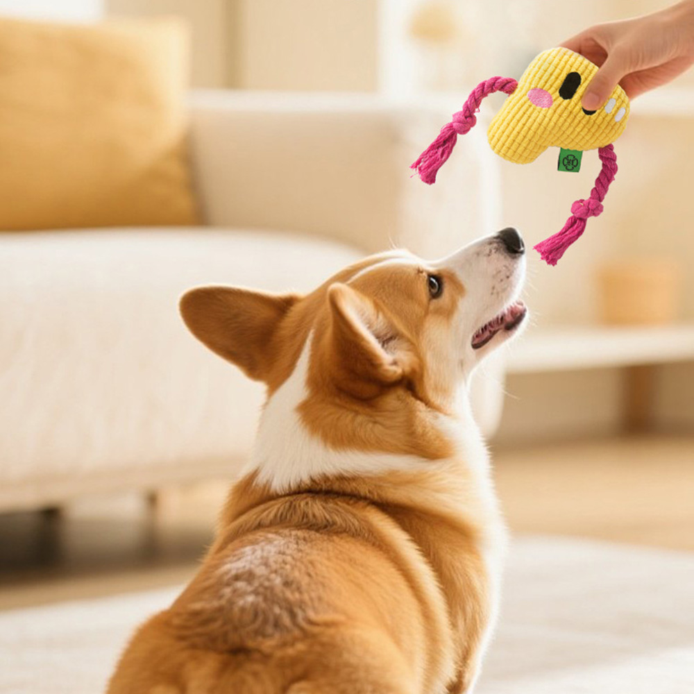 لعبة مضغ الكلاب - عقدة حبل متي - مراجعة Dog Rope Toy Aggressive Chewers وسعره