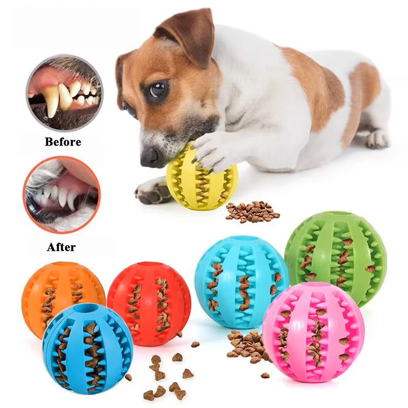 كرة مطاطية تفاعلية من السيليكو - مراجعة Dog Puzzle Feeder Toy وسعره