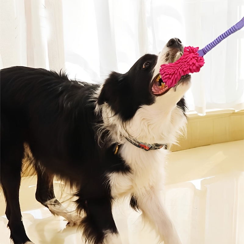 ألعاب متينة للكلاب للمضغ العدو - مراجعة Suction Cup Dog Tug Toy وسعره