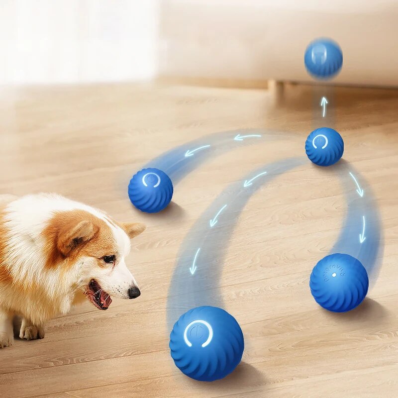 ألعاب الكلاب كرة القفز الجاذبي - مراجعة Suction Cup Dog Tug Toy وسعره