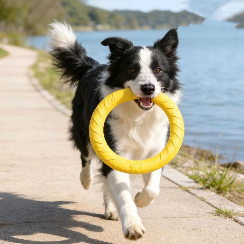 ألعاب حلقات للكلاب غير قابلة ل - مراجعة Suction Cup Dog Tug Toy وسعره
