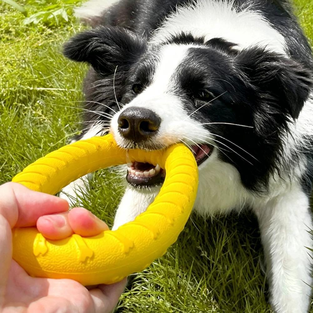 ألعاب حلقات للكلاب غير قابلة ل - مراجعة Suction Cup Dog Tug Toy وسعره