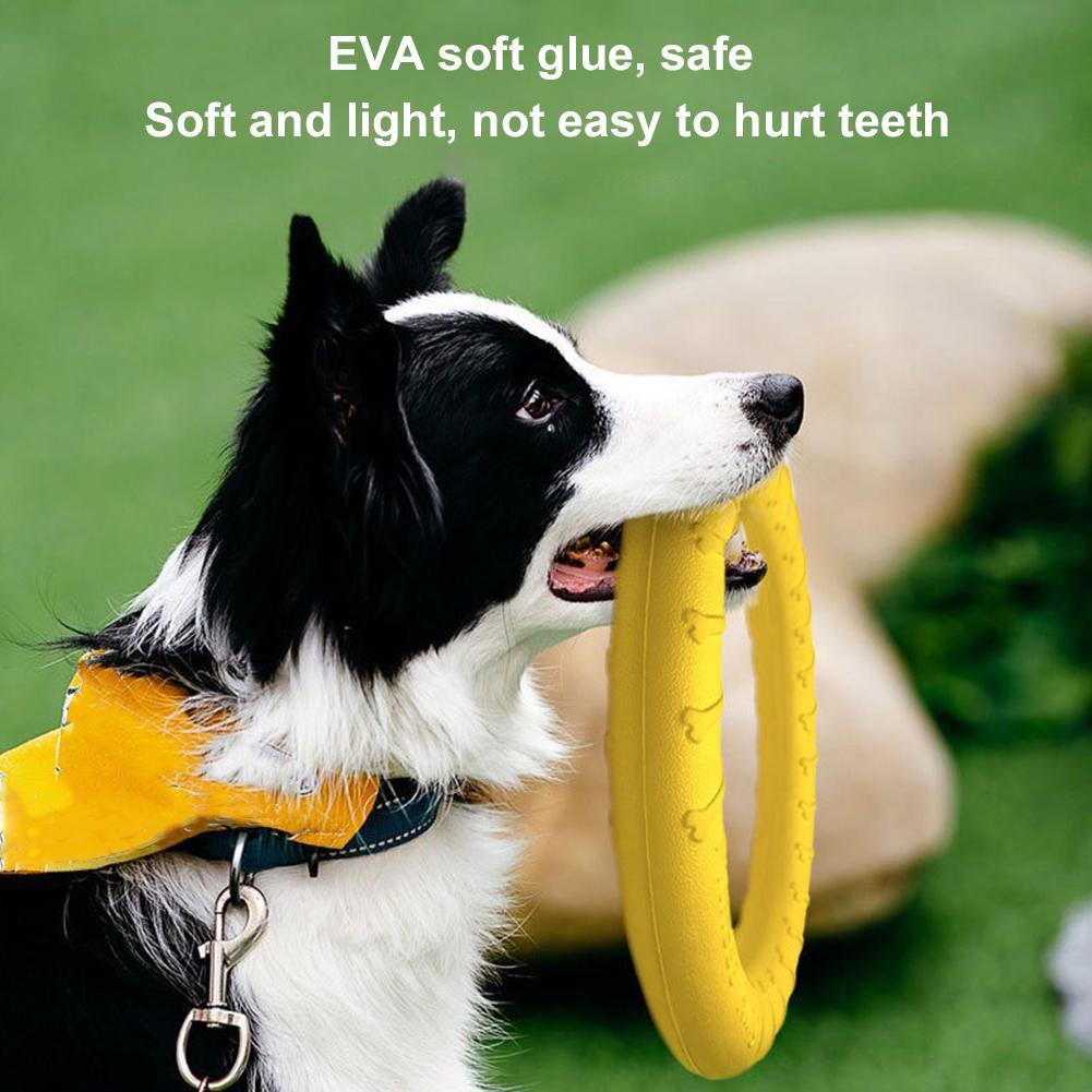 ألعاب حلقات للكلاب غير قابلة ل - مراجعة Suction Cup Dog Tug Toy وسعره