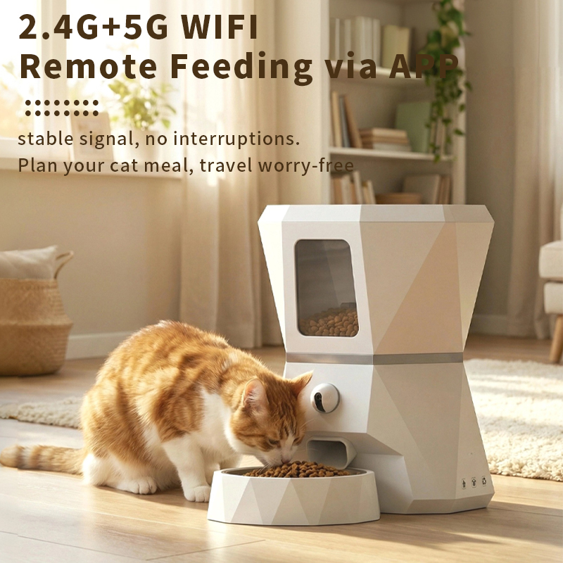 موزع طعام أوتوماتيكي للقطط عال - مراجعة Pet Feeders وسعره