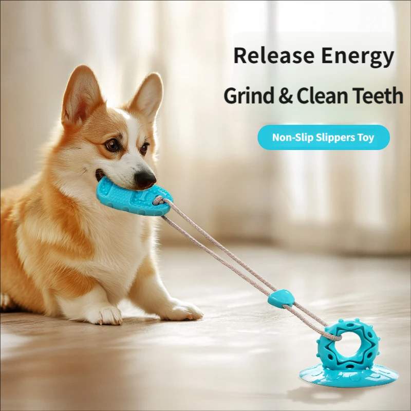 لعبة شد تفاعلية للكلاب بكأس شف - مراجعة Suction Cup Dog Tug Toy وسعره