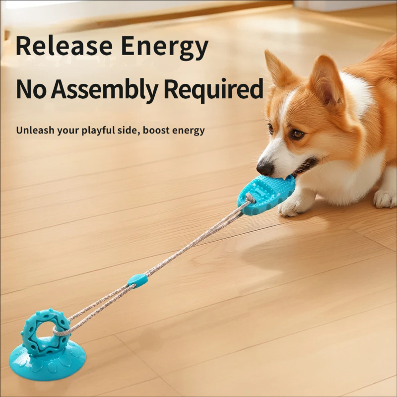 لعبة شد تفاعلية للكلاب بكأس شف - مراجعة Suction Cup Dog Tug Toy وسعره