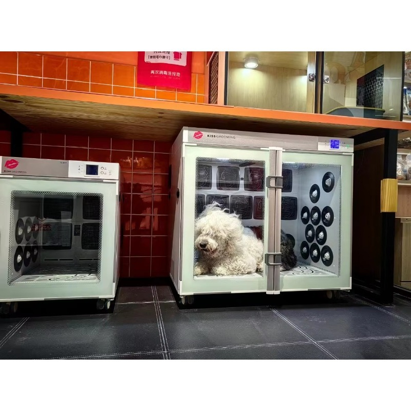 جهاز تجفيف الحيوانات الأليفة م - مراجعة Pet Grooming وسعره