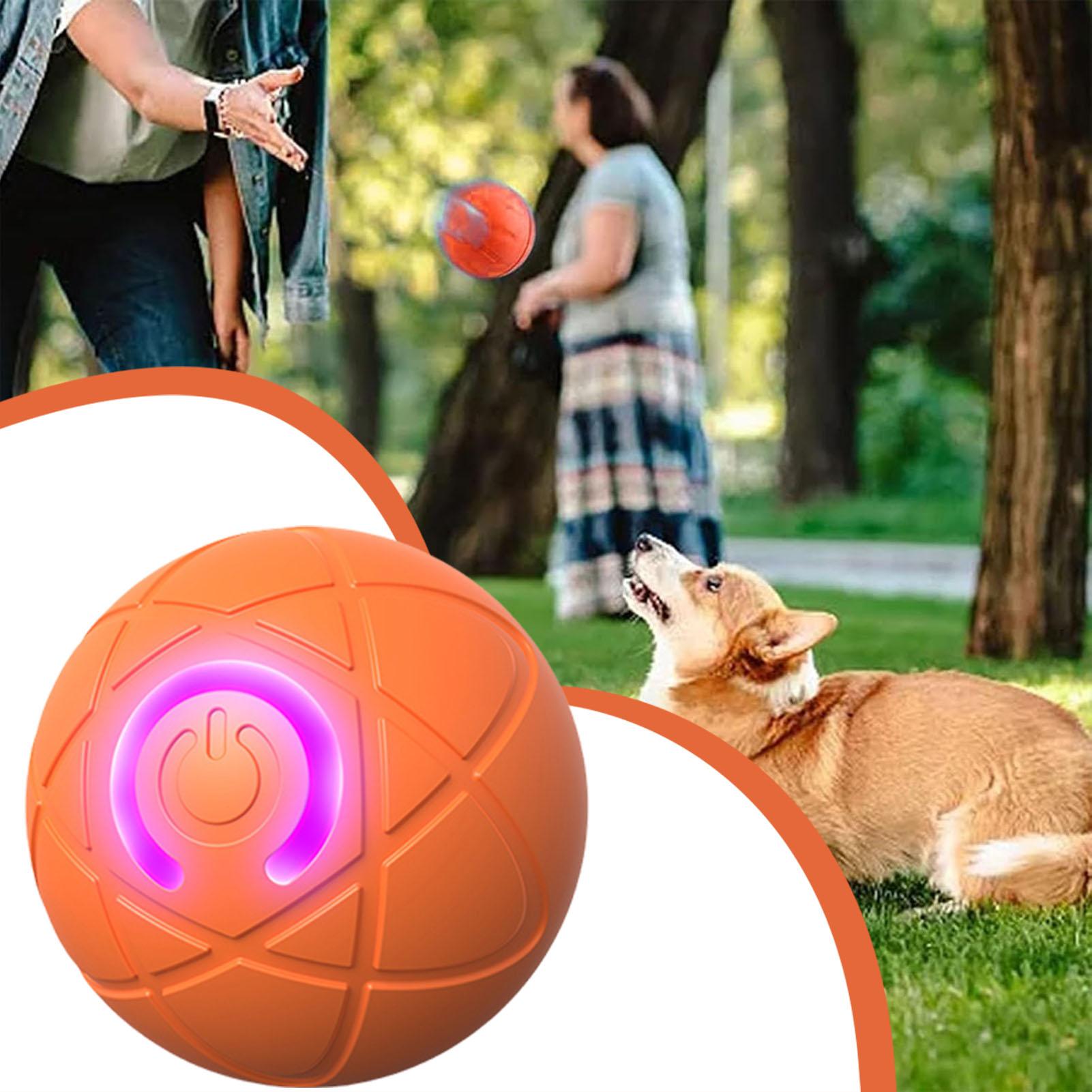 لعبة الكلب الكرة التفاعلية الم - مراجعة Automatic Moving Dog Ball وسعره