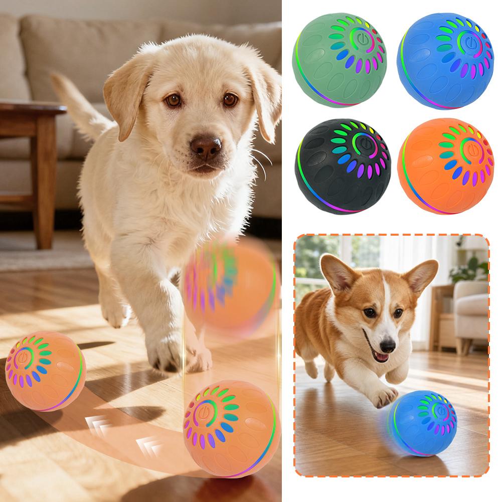 كرة ذكية تتحرك تلقائيًا للكلاب - مراجعة Automatic Moving Dog Ball وسعره
