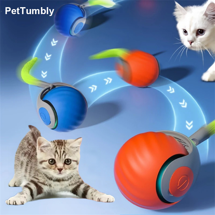 كرة لعبة تفاعلية للقطط تتحرك ت - مراجعة Automatic Moving Dog Ball وسعره