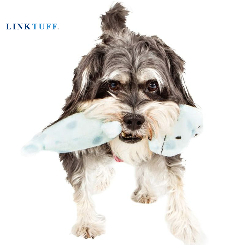 لينتشوف كلب تدريب صار لعب-قرد/ - مراجعة Suction Cup Dog Tug Toy وسعره