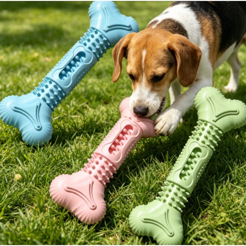مجموعة ألعاب مضغ جديدة ومتينة  - مراجعة Teeth Cleaning Dog Chew Bone وسعره