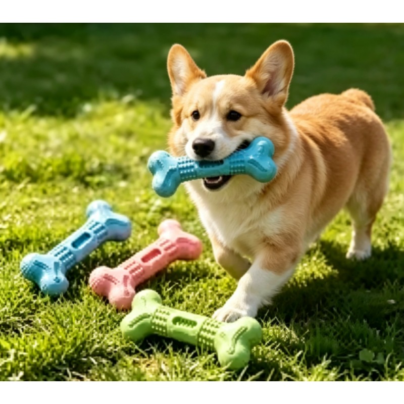 مجموعة ألعاب مضغ جديدة ومتينة  - مراجعة Teeth Cleaning Dog Chew Bone وسعره