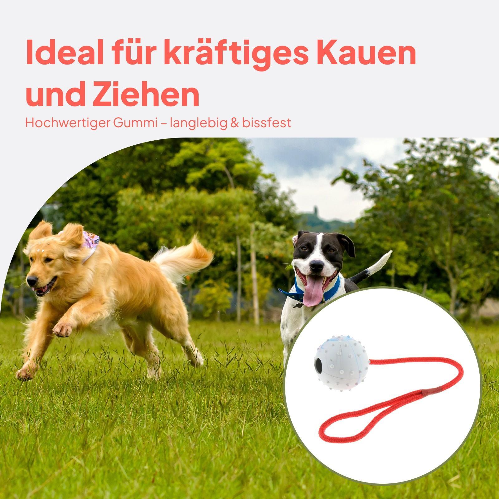 لعبة تدريب الحيوانات الأليفة،  - مراجعة Rubber Treat Dispensing Dog Toy وسعره