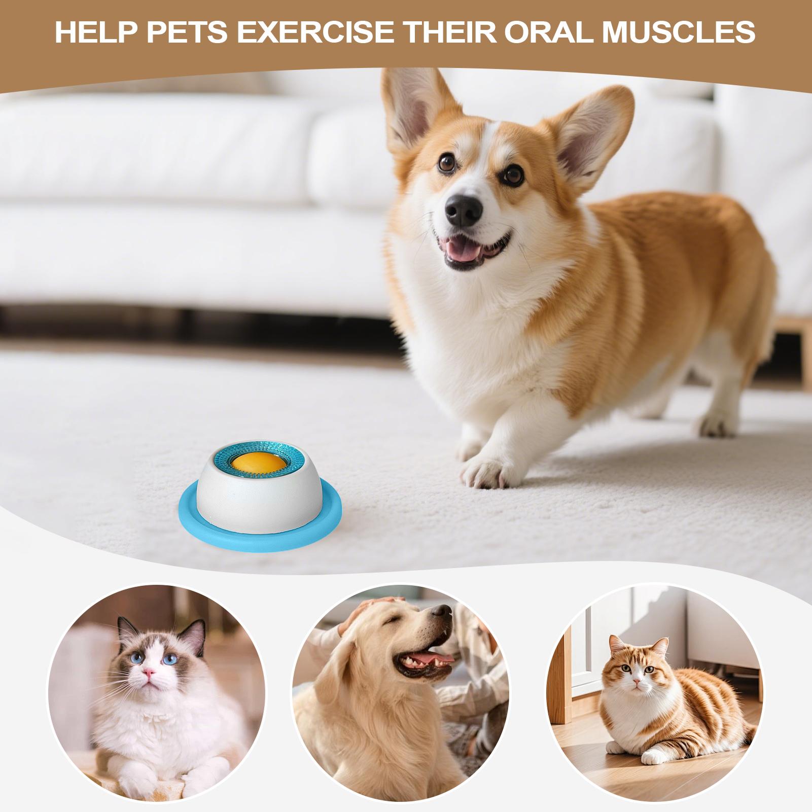 ملحقات تغذية الحيوانات الأليفة - مراجعة Dog Puzzle Feeder Toy وسعره